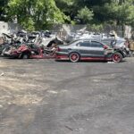 Photo of Our Family Salvage